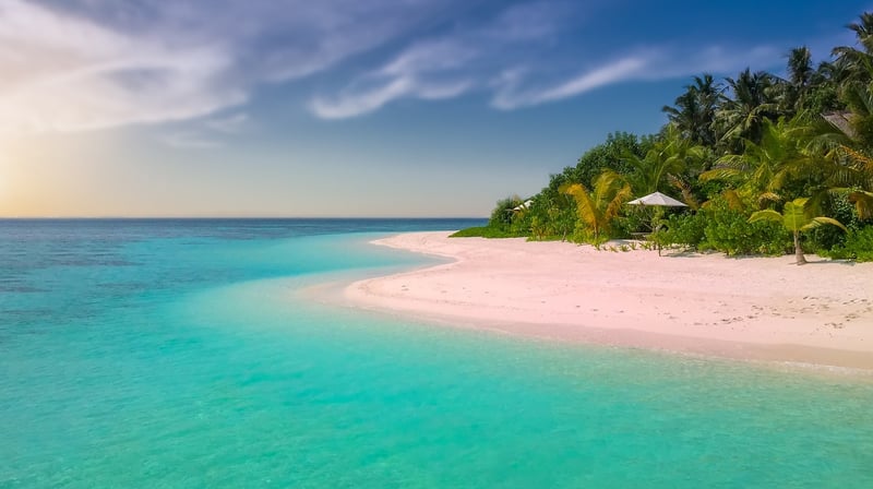 Exotic Beach